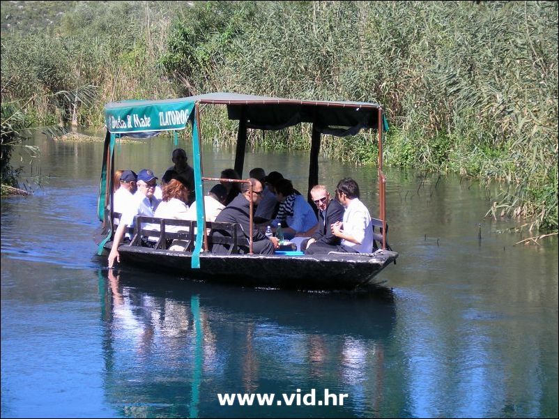 Mesic u Vidu (35)